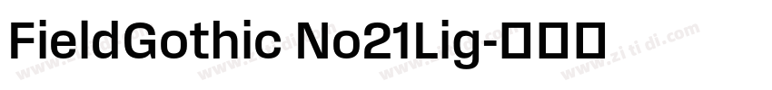 FieldGothic No21Lig字体转换